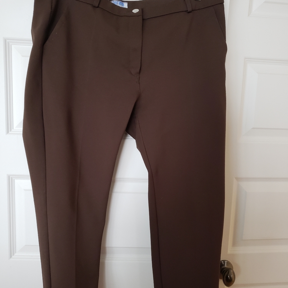 Elegant Brown Women's Pants